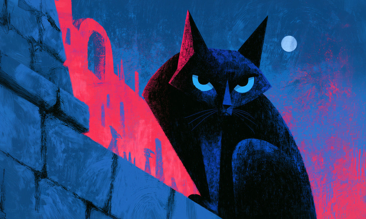 Animal Angles
